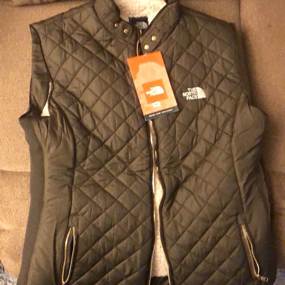 The north face vest